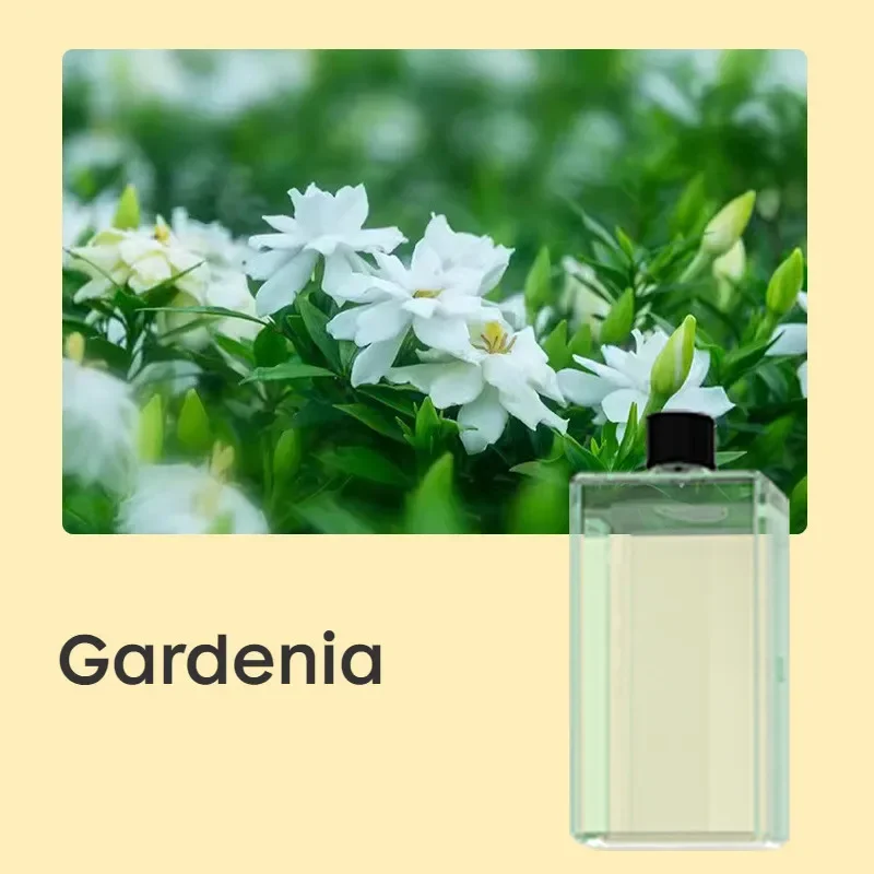 Modern Aromatherapy Diffuser with 6 Levels 8 Modern Aromatherapy Diffuser with 6 Levels - Image 8