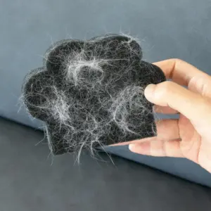 S8a9525850bdb4c9f93a8de59bdb2552f9