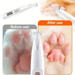 S8c1d6815d5d845ecb5643aab7a918545t