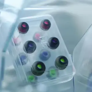 S8e1c4f55a1374436a948bb58b617724dg