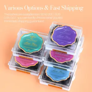 Premium 8D Volume Premade Eyelash Fans Set 12 S91196fb254e44ca19dbf67c4d5dd7765r