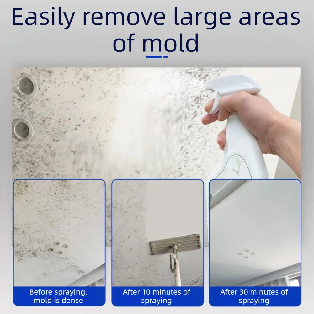 240ML Wall Mold & Mildew Remover Spray 3 240ML Wall Mold & Mildew Remover Spray - Image 3