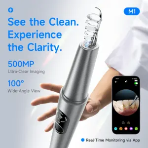 Ultrasonic Dental Scaler with UV Sterilization