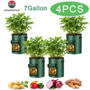 S9342a71ea81c421aa064c5c9af8a65b8j