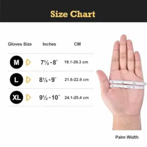 S953a2c566f18464d8a8db8bc11446742g