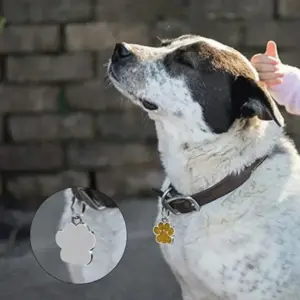 S982d16e4b66341b5828f0fb3b4907aa1N