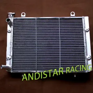 Heavy-Duty Aluminum Radiator Cooler for Polaris Ranger 8 S99acccb1d9d54c4289840174ddad1b38i