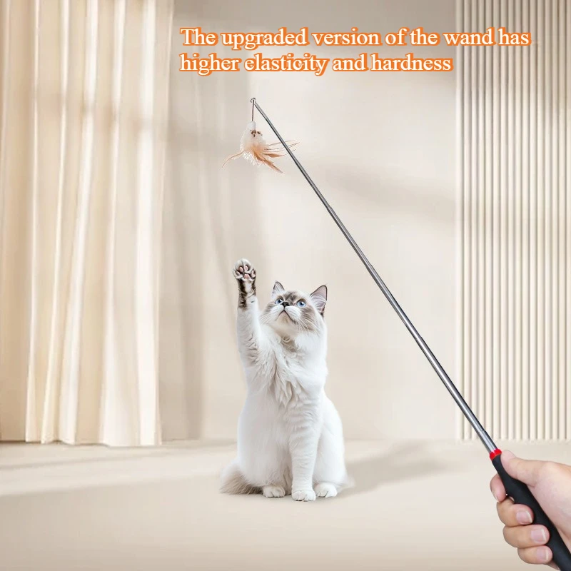 Retractable Cat Teaser Wand with Feather Toy 3 Retractable Cat Teaser Wand with Feather Toy - Image 3