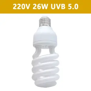 S9b2a8eebd5ed4ec1900fdf4df9bb5d56G