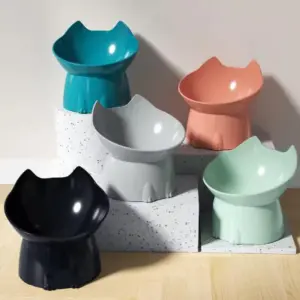 Playful Cat Bowl with Vibrant Colors