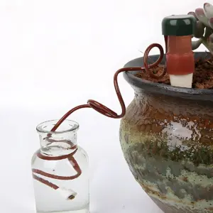 S9deba3fdb28e4c559d47682d4f96036cw