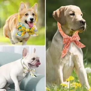 Vibrant Pet Cooling Scarf for Summer 12 S9faeecb03d3943048a6bf3ef4d0fa3bfe