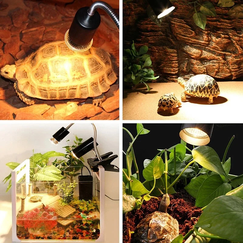 Reptile Heat Lamp with UVA/UVB, 25/50/75W 5 Reptile Heat Lamp with UVA/UVB, 25/50/75W - Image 5