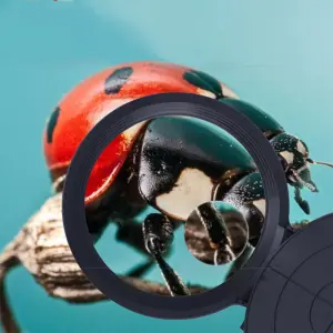 Sa772b420552148df82a86fe27d08aaf4o