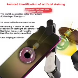 Saf173473fd6d464b97368843fcb345eaY