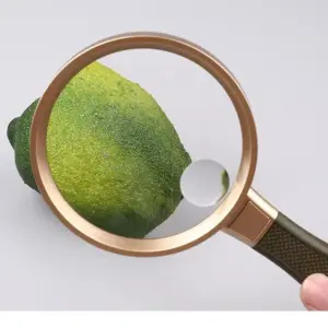 Sb515115f641240c191a272aed7a56236P