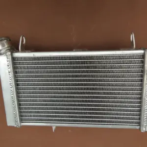 High-Performance Aluminum Radiator for Suzuki SV650 6 Sb60503e177da4d9ba1e36cace34877e5E