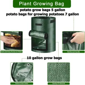 Sba461d1bb3ce44ba80f7968923141099M