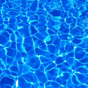 Sbdc4e6302b424980b65a287d4b2c837ay