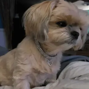 Sbf2251f57980414293979bd65ecd105ej