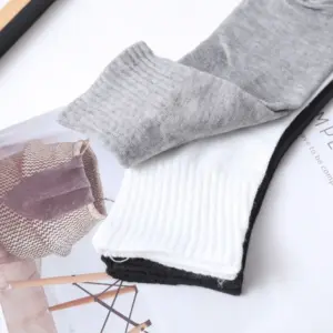 Sc0481c3b6c004c9db764b515887ca742K