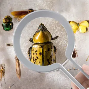 Sc4f55f4ceddd45608ed9d75a31a4c17at