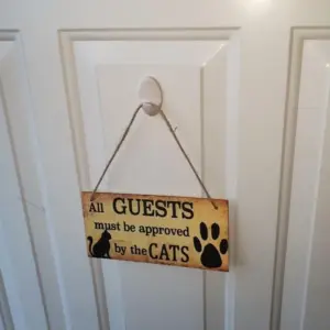 Sc7e3c855270c4871a3a384747bf6bd5dt