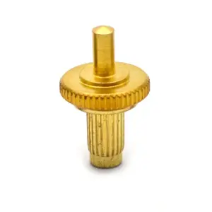 Scd373882826e4e469b51b4d2c6fb63d2K