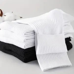 Sce2344f0b73242bebf00a1d9baa6c9ae5