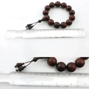 Portable Ruler with 2x Magnification for Precise Measurement 9 Scfb0901fc81c4ea49f2cdfc79e75ff51r