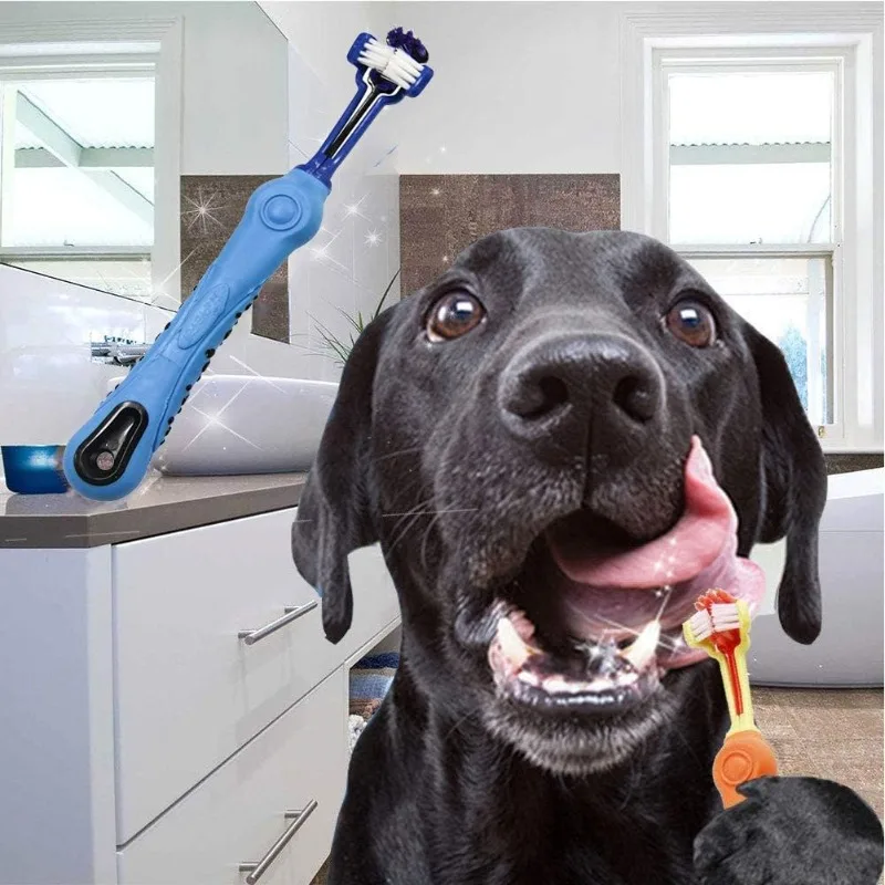 Vibrant Three-Sided Pet Toothbrush for Dogs & Cats 3 Vibrant Three-Sided Pet Toothbrush for Dogs & Cats - Image 3