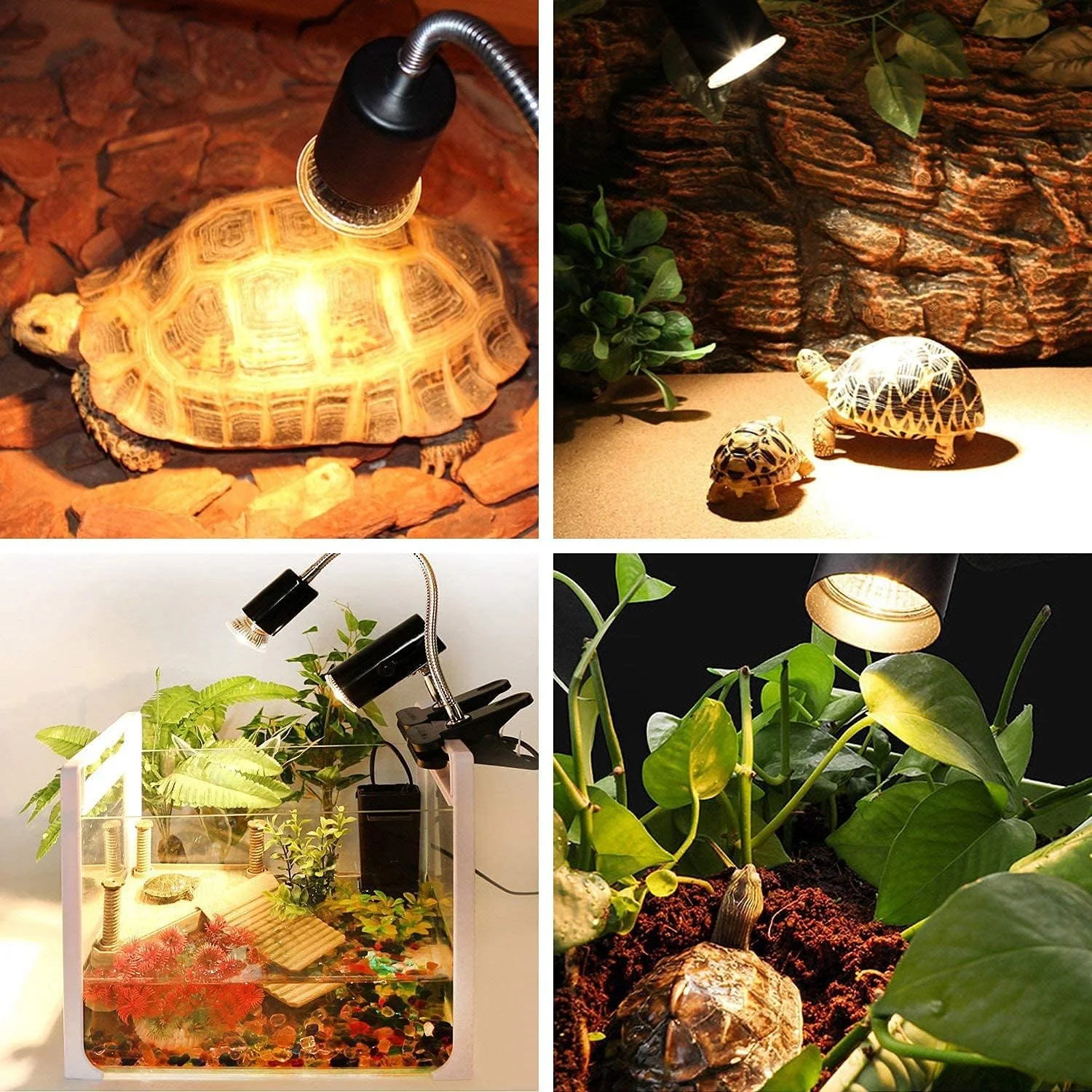 Reptile UVA+UVB 3.0 Basking Lamp 75W 4 Reptile UVA+UVB 3.0 Basking Lamp 75W - Image 4