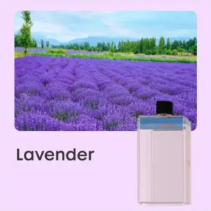 Modern Aromatherapy Diffuser with 6 Levels 16 Sdc19160cab5e42f79bee630b4cd8bd41m