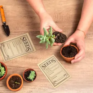 Rustic Kraft Seed Packets 50-200pcs 13 Sde0977474ccf47bf8ffb4c2aaaeae57fh