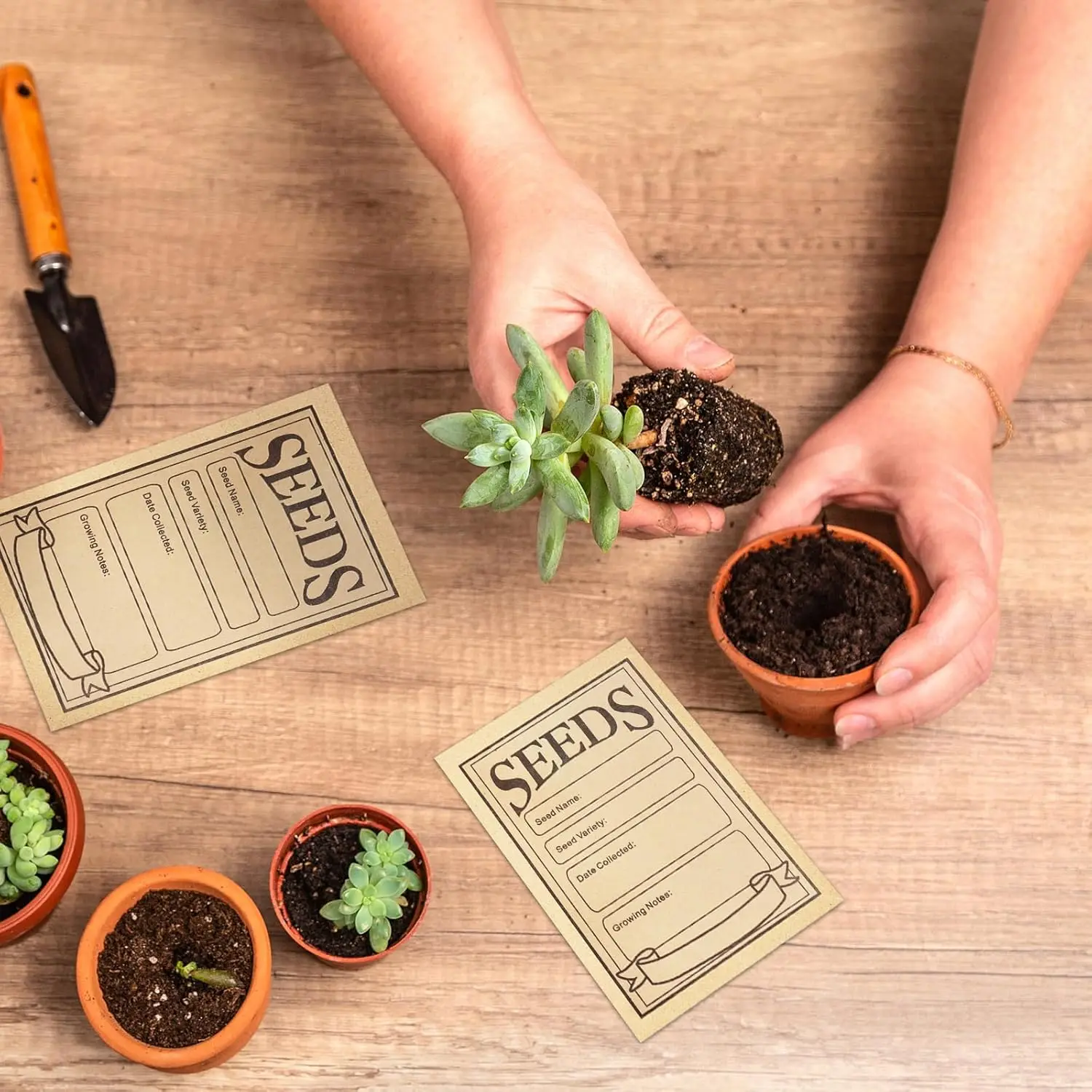 Rustic Kraft Seed Packets 50-200pcs 5 Rustic Kraft Seed Packets 50-200pcs - Image 5