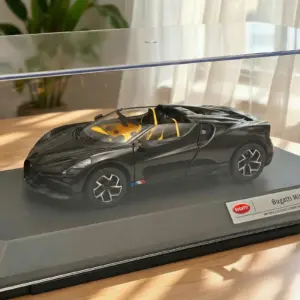 Bugatti W16 MISTRAL 1:24 Diecast Model Display