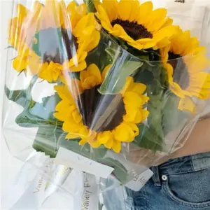 Se23dff8aa7ed414dab500534ec6206d2s