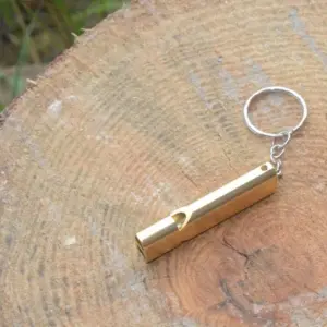 Se69796660640427783fe33a4a8cabfbfZ