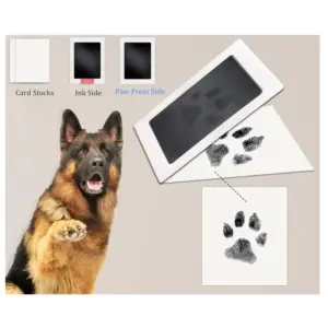 Baby and Pet Ink Pad Set in Vibrant Colors 15 Se7046586b37d4f0fab4ed114968f446cM