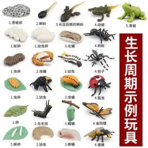 Se7ebf655a09a4c28aa0101588ebe62978