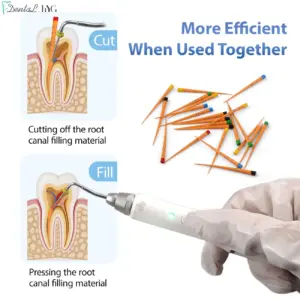 Sea3c124aca0d47e6b242a665907f9712u