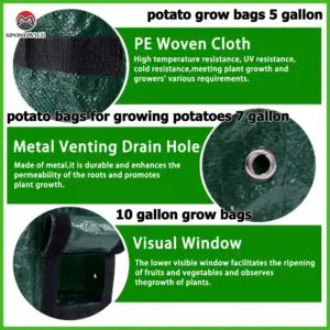 Sea75a6640fcd4f1cbbc4ffc4a36f7936A