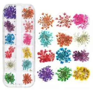 Vibrant Dried Flower Nail Decoration Set 7 Sefd9056dc3844471afcaaa5edb06c28bl