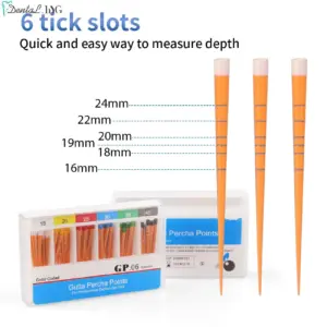 Sefff7728299e43e9b4d842f2a6beedb24