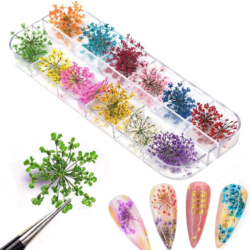 Vibrant Dried Flower Nail Decoration Set 5 Vibrant Dried Flower Nail Decoration Set - Image 5