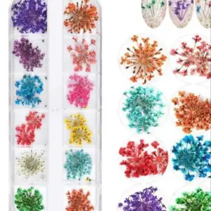Vibrant Dried Flower Nail Decoration Set 11 Sf2fe21dc00b646ad81e0b575fb42304eY