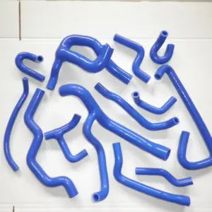 Sf389491fd0e241a7a1824cfe312e7019N