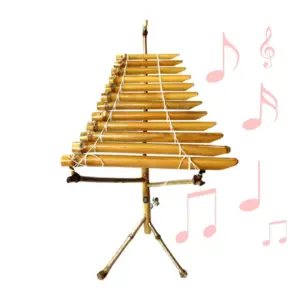 Vietnamese Bamboo Xylophone with 12 Tubes 8 Sf9fc3ae0125e4e4c803dd8a753627a62l