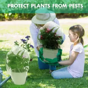 Sfd6c528576324a9d881fa5028689e8d9o