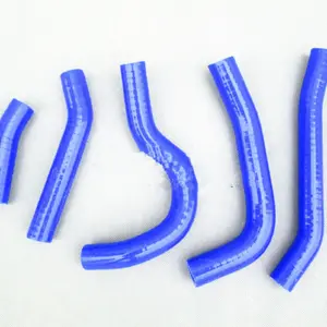 Sff025f6c54ed40e983d1334e13073620P